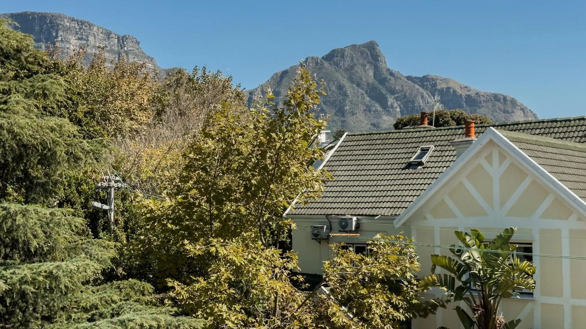 Διαμέρισμα Sunny Modern Space With Mountain View Κέιπ Τάουν